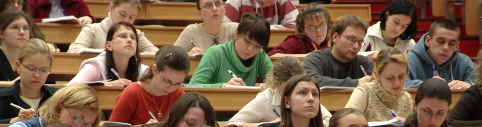 手机号轰炸免费在线网站