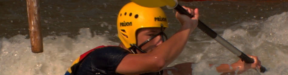 在线呼叫网页版软件